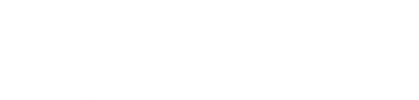Diversified Insulation Logo